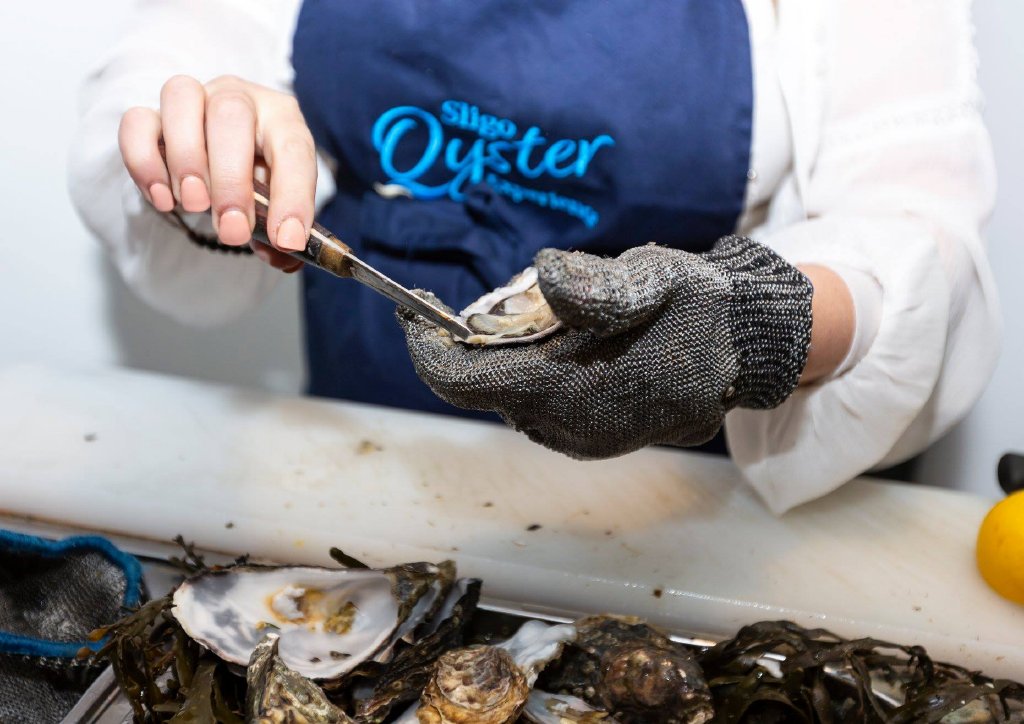 Shucking oysters