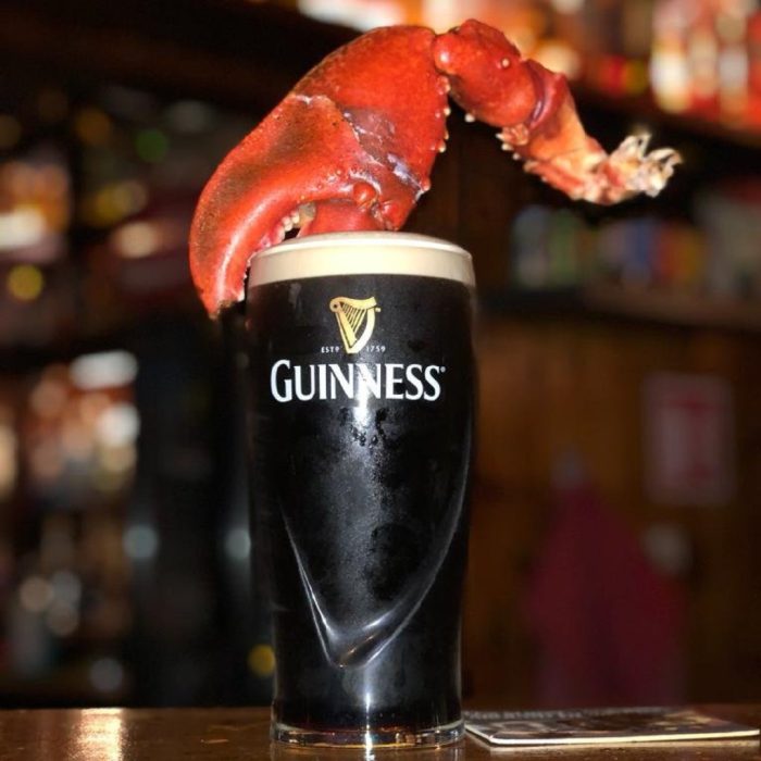 A fresh pint of Guinness at Hargadons in Sligo